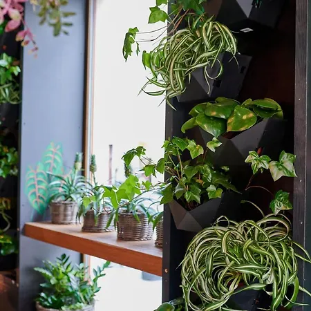 Fama Old Town 아파트호텔 4*