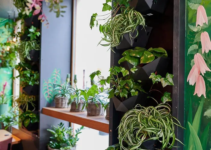 Fama Old Town Apartmanhotel 4*